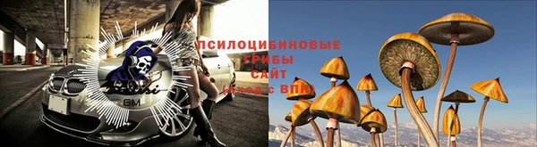 a pvp Абинск