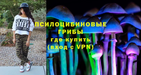 гашиш Абаза