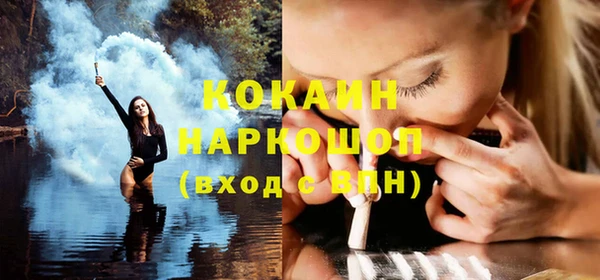 сатива Коряжма