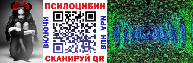 Псилоцибиновые грибы прущие грибы  цены наркотик  hydra ССЫЛКА  Канск 